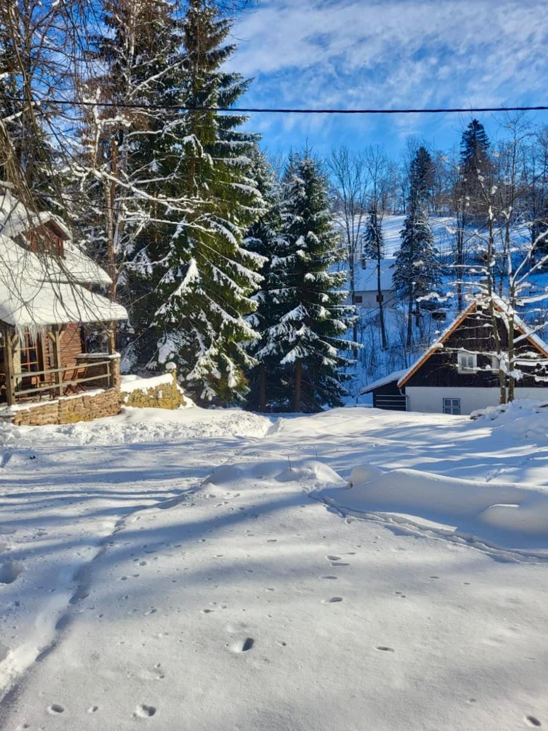 Srub V Bolkovskem Udoli Villa Rudník Dış mekan fotoğraf